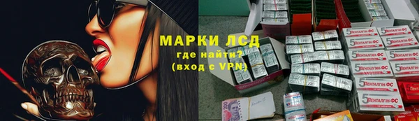 дмт Павловск