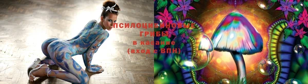 хмурый Сатка