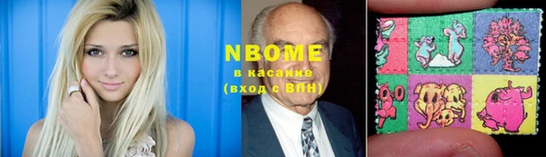 дмт Павловск