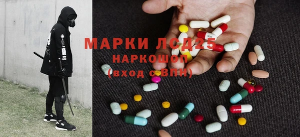 хмурый Сатка