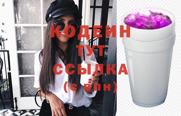 хмурый Сатка