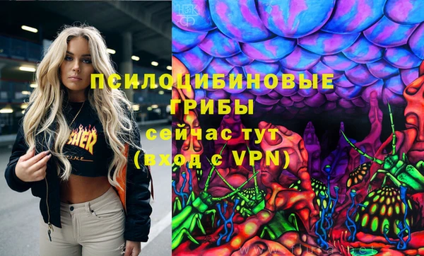 хмурый Сатка