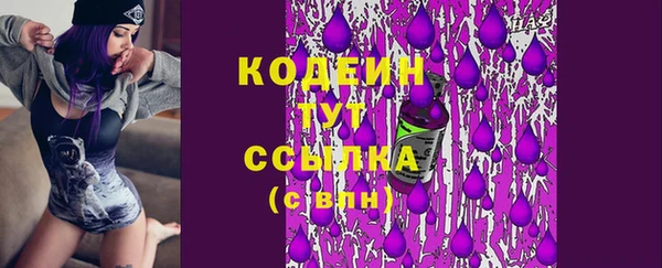 хмурый Сатка