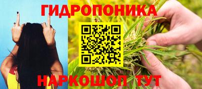 стафф Рузаевка