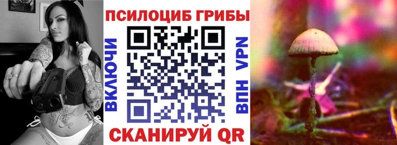 KRAKEN онион  Торжок  Псилоцибиновые грибы прущие грибы  закладка 