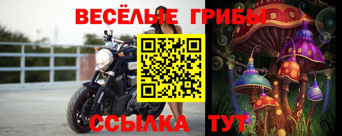 Альфа ПВП Торжок